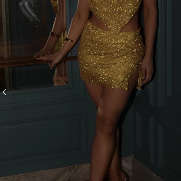 Meshki Glomesh Skirt - Picture 2 of 4